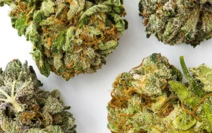 Dive Into the Numbers: Super Silver Haze Strain THC Level Analysis