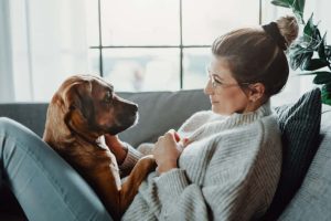 Verzekering Hond Demystified: essentiële inzichten voor hondenbezitters