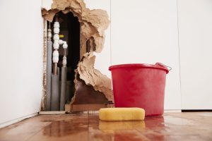 Seasonal House mold removal Tips for Every Home